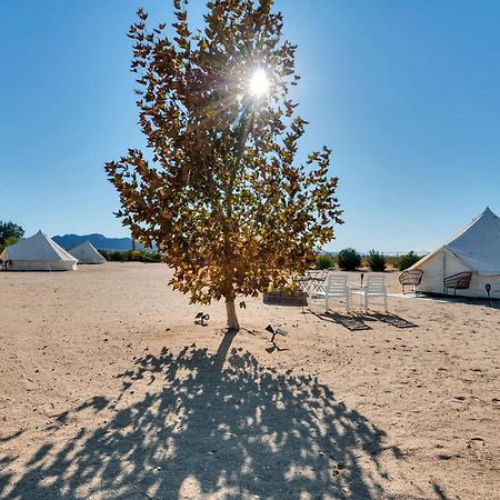 The Castle House Estate Hotel Joshua Tree Kültér fotó